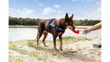 Dog Leaf Bottle - ED (Red)