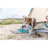 Dog Toy - Dinosaur Plush Standing (38cm)