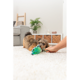 Dog Toy - Monster Paw with Rope Multi (22cm)