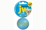 Dog Toy - JW iSqueak Ball - Medium