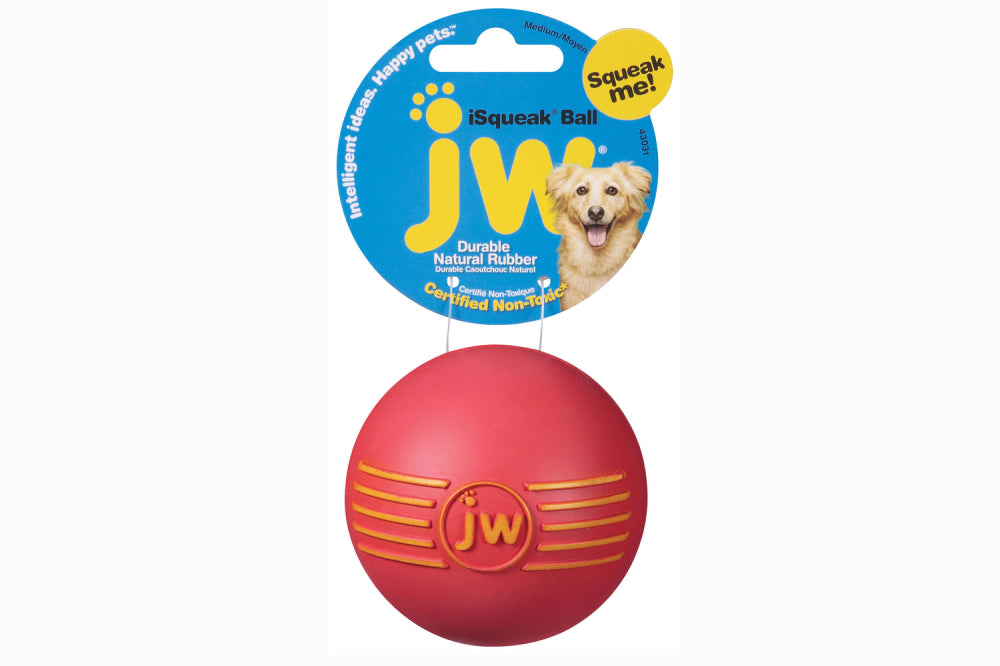 Dog Toy - JW iSqueak Ball - Small