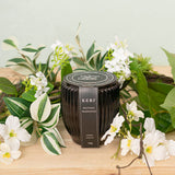 Scented Candle Grovedale Jar Nordic Jasmine