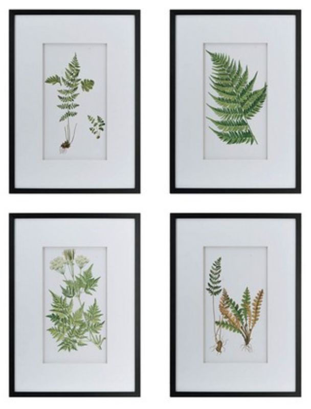 Wall Art - BOTANICAL 1 (Set of 4)
