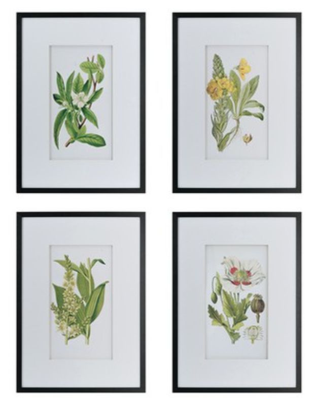 Wall Art - BOTANICAL 2 (Set of 4)