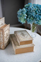 Book Boxes - 27cm (Set Of 4 Assorted)
