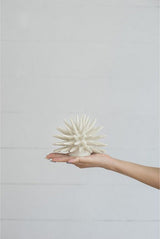 Ornament - CORAL (15cm)