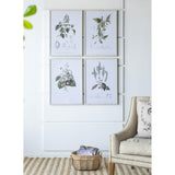 FRAMED ART - BOTANICAL (Set of 4)