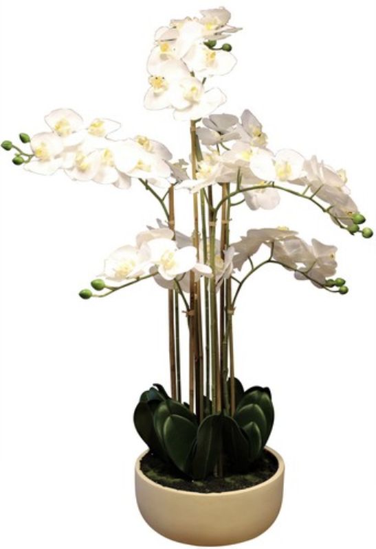 Artificial Real Touch Orchid Plant with Pot 00cm