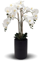 Artificial Orchid - Real Touch 5 Spray White With Black Pot (105cm)