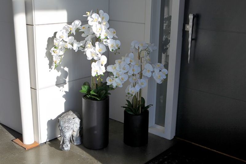 Artificial Orchid - Real Touch 5 Spray White With Black Pot (105cm)