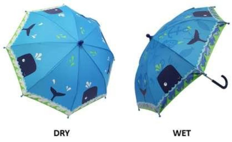 Umbrella Whale