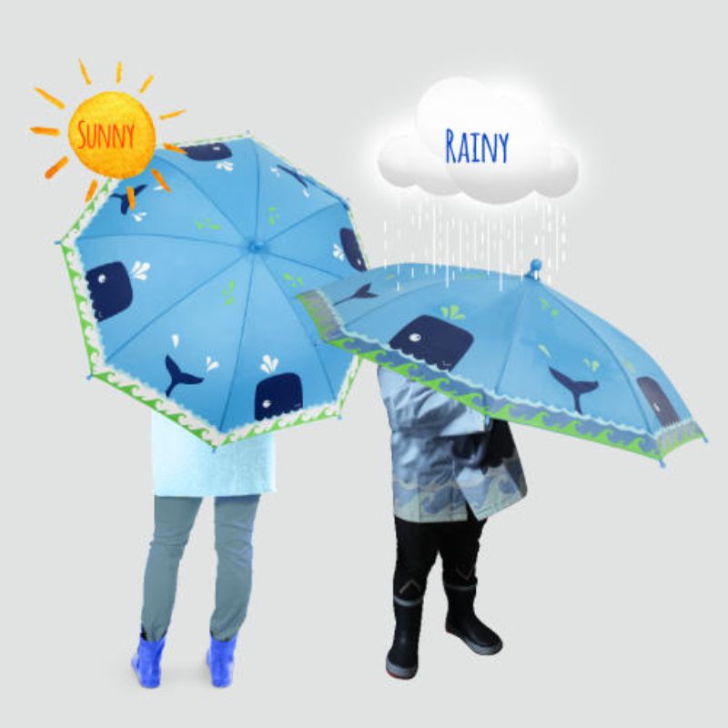 Umbrella Whale