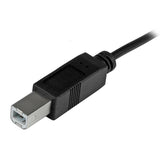 High-Speed USB-C to USB-B Cable - 1m (3 ft) - USB 2.0 - Connect Printers & Drives