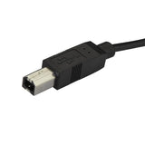 High-Speed USB-C to USB-B Cable (M/M) 1.8m (6 ft.) - Compatible with USB 2.0 & Thunderbolt 3