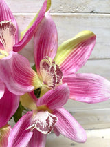 Artificial Cymbidium Orchid Bush (Pink)