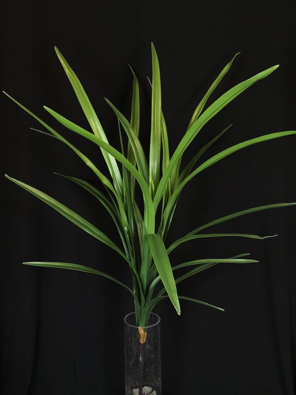 Artificial Symbidium Leaf Bush - Large Long RT (Green)