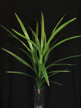 Artificial Symbidium Leaf Bush - Large Long RT (Green)