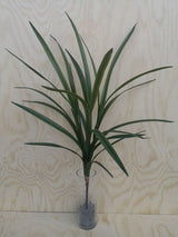 Artificial Symbidium Leaf Bush - Large Long RT (Green)