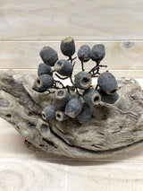 Artificial Eucalyptus Nut Bundle (Black)