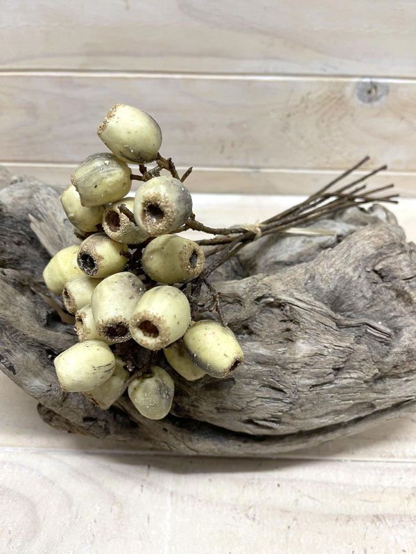 Artificial Eucalyptus Nut Bundle (Cream)