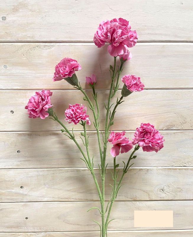 Artificial Carnation Stem (Beauty)