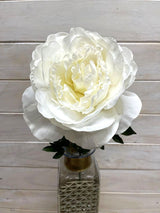 Artificial Peony Stem - Large (White)