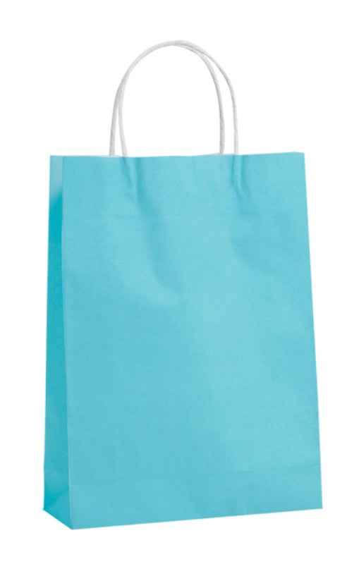 Paper Bag Small - 42 x 31cm Blue (250 Bags)