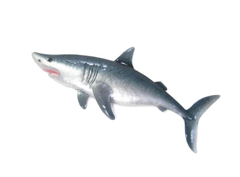 Metal Wall Hanging - Shark (59cm)