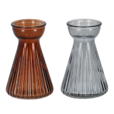Bulb Vase - Crocus (Set of 12 Assorted)