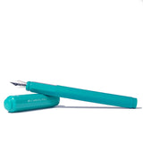 Ferris Wheel Press Fountain Pen Carousel Tumultuous Tides Medium
