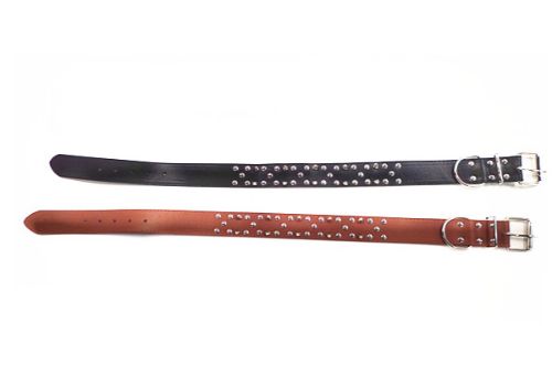 Dog Collar 76cm (Set Of 2 Assorted)