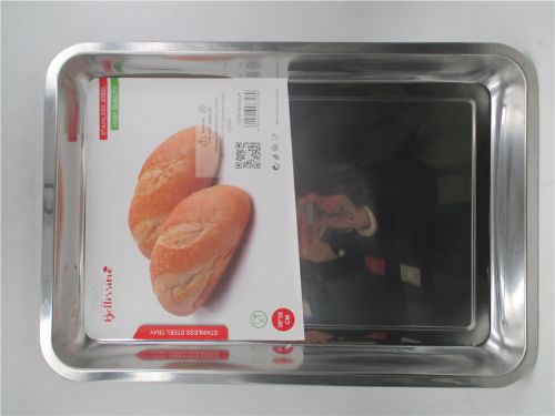 Stainless Steel Tray (50cm)