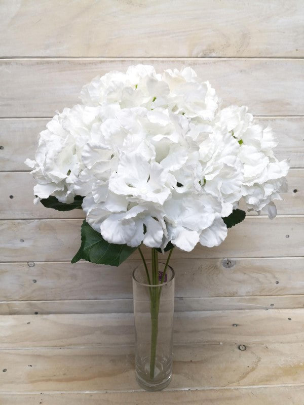 Large White Hydrangea Bush