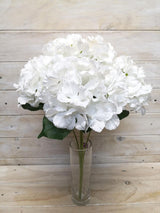 Large White Hydrangea Bush