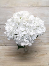 Large White Hydrangea Bush