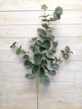 Artificial Plant - Large Velvet Eucalyptus Spray