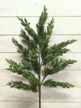 Spray  - Real Touch Juniper Spray with Seeds