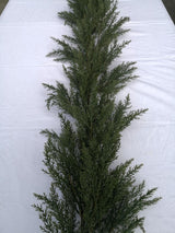 Artificial - 2 Mtr Cypress Garland