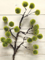 Artificial - Moss Ball Spray