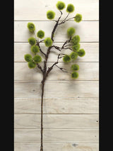 Artificial - Moss Ball Spray