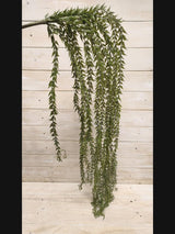 Artificial - lycopodium scariosum Hanging Spray
