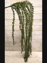 Artificial - lycopodium scariosum Hanging Spray