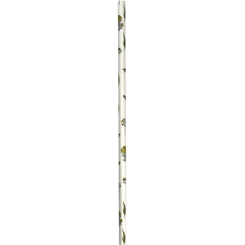 Biopak Art Series Paper Straw 6mm 250pk