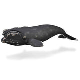 Figurine - CollectA Right Whale XL