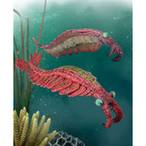 CollectA Anomalocaris Large figurine showcasing detailed claws and eyes of a prehistoric marine predator.