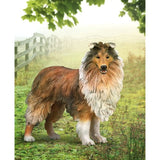 Figurine - CollectA Rough Collie Large