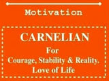 Bracelet - Carnelian (Set of 6)