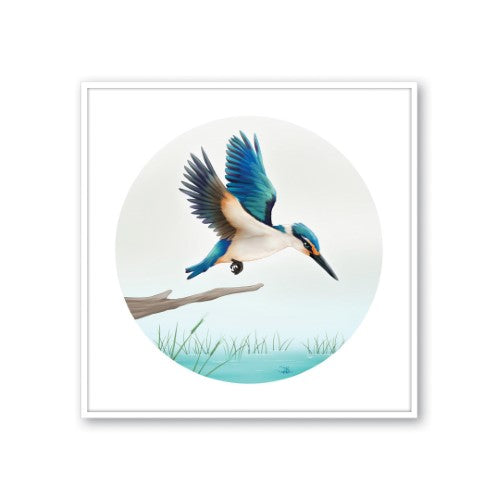 Sophie Blokker Kiwiana Framed Canvas Print Medium - Kingfisher in Flight