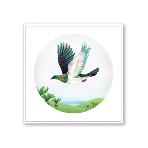 Sophie Blokker Kiwiana Framed Canvas Print Medium - Wood Pigeon in Flight