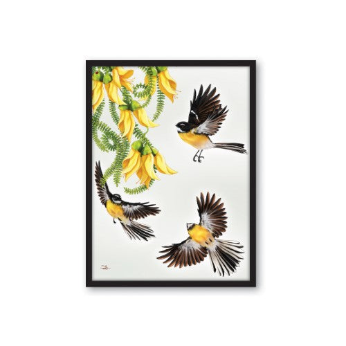 Sophie Blokker Kiwiana Framed Canvas Print Small - Fantail in Flight